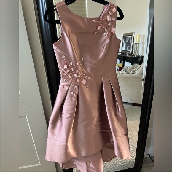 Nwot Teri Jon dress women size 4 pink blush with embellishments - Picture 4 of 13